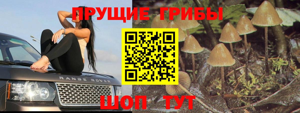 Галлюциногенные грибы мицелий Пугачёв